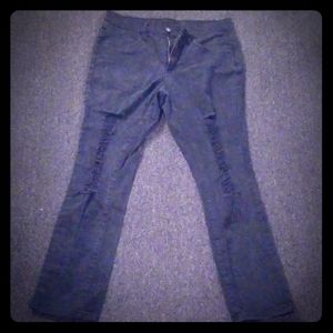 Venus Distressed Jeans in Black like New